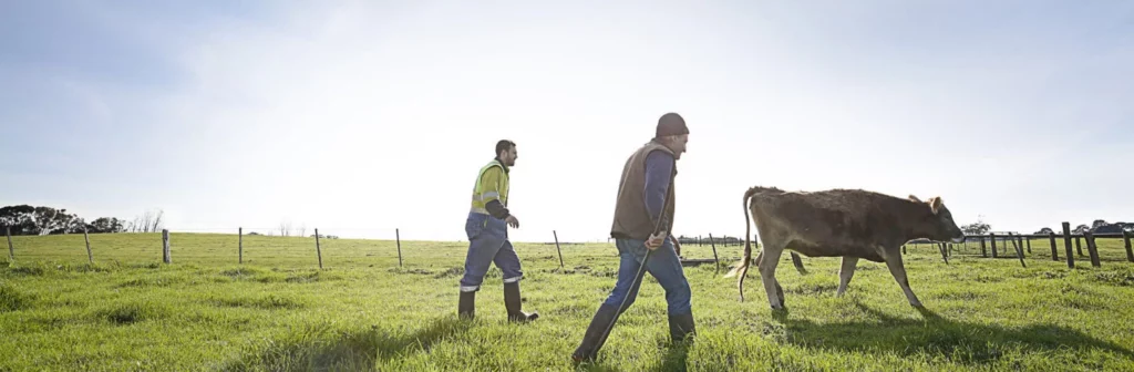 Designated Area Migration Agreement for Western Australia e1719885846629