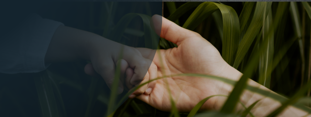 Brightstone Legal Family Law Child Custody Services