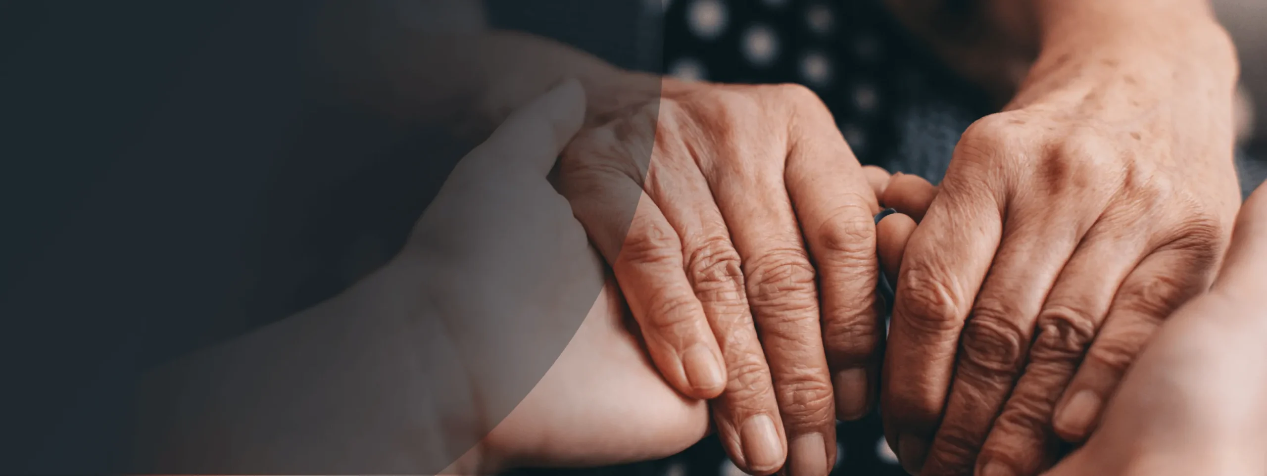 Criminal Traffic Insights Banner WebP